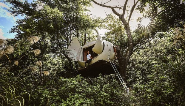 8 Treehouse Hotels Where You Can Spend the Night Fully Immersed in Nature